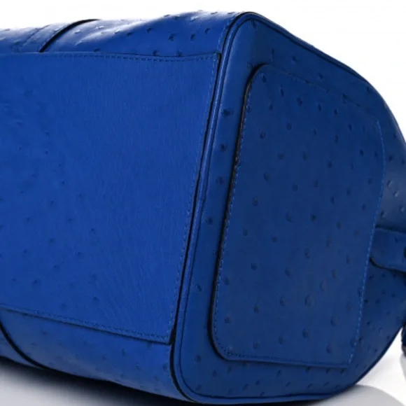 LOUIS VUITTON OSTRICH WEEKEN BAG - Picture 4 of 6